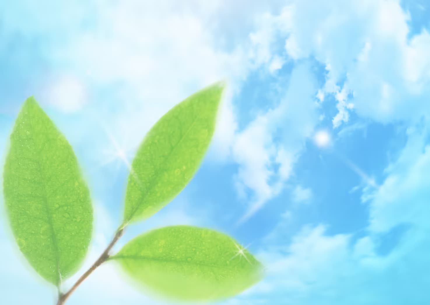 Background image 3