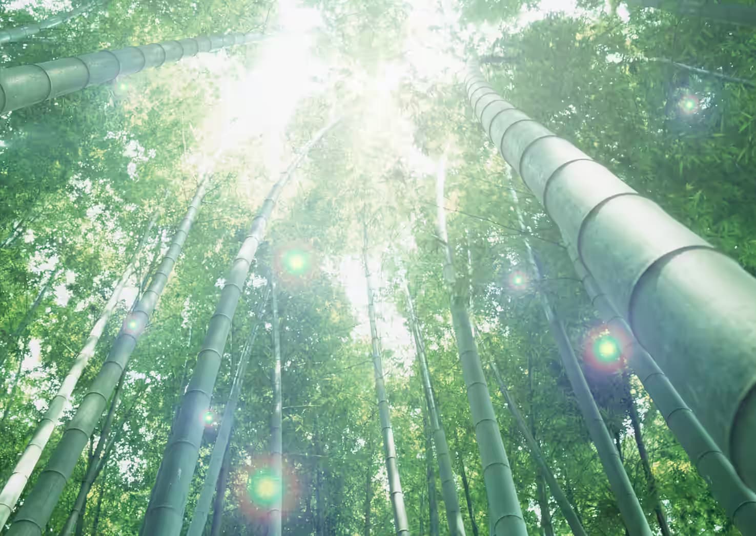 Background image 4